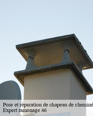 Pose et réparation de chapeau de cheminée  sauliac-sur-cele-46330 Expert ramonage 46